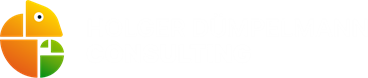 Holger Dümpelmann Consulting